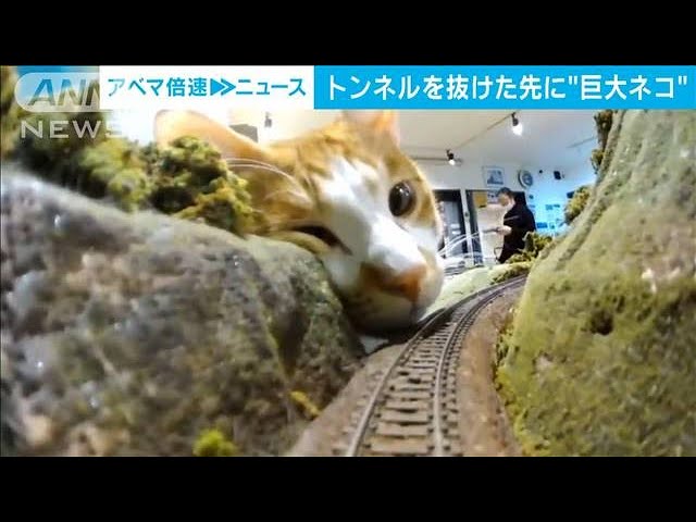 ネコパンチで電車が横転!?　電車をはじき飛ばす巨大ねこちゃん登場！【動画ニュース】