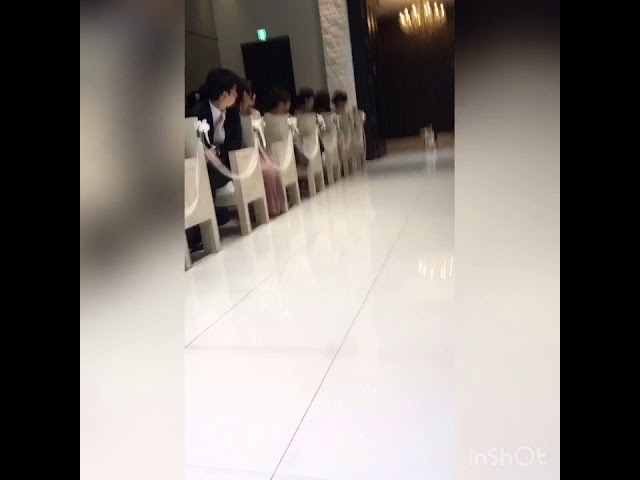 結婚式場を笑顔で満たしたわんちゃん♪　おっかなびっくりな様子が微笑ましい【動画ニュース】【どうぶつ】