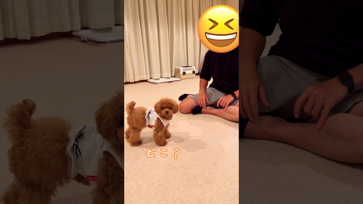 かわいい子犬ちゃんがマジックにキョトン？騙されたときのしぐさがキュートすぎる!!【動画ニュース】【どうぶつ】