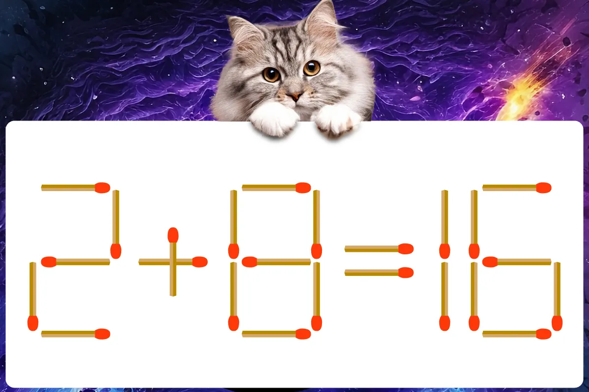 【マッチ棒クイズ】何秒で解けますか？「2＋8＝16」正しい式にしましょう！